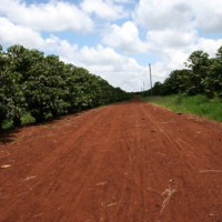 this road leads to good coffee this road leads to good coffee
