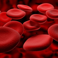 Gays allowed to give Blood