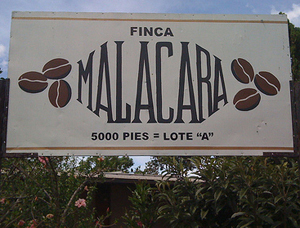 The Finca Malacara A: The Coffee, The Country, The Community