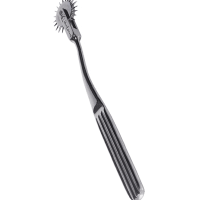 The Wartenberg Pinwheel