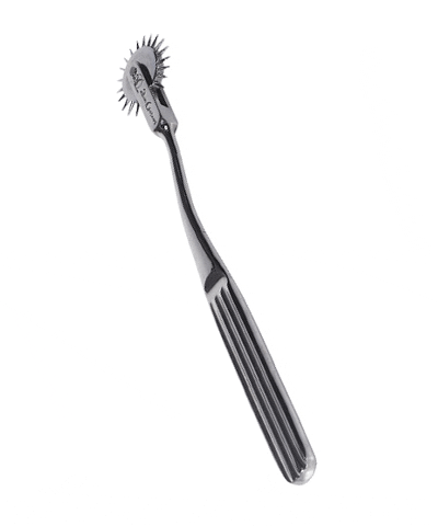The Wartenberg Pinwheel