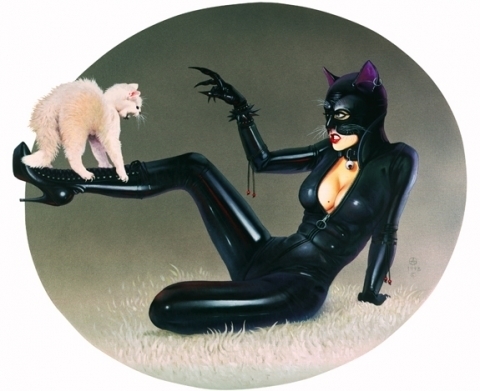 Cats Postcard